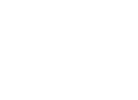 Black Berline